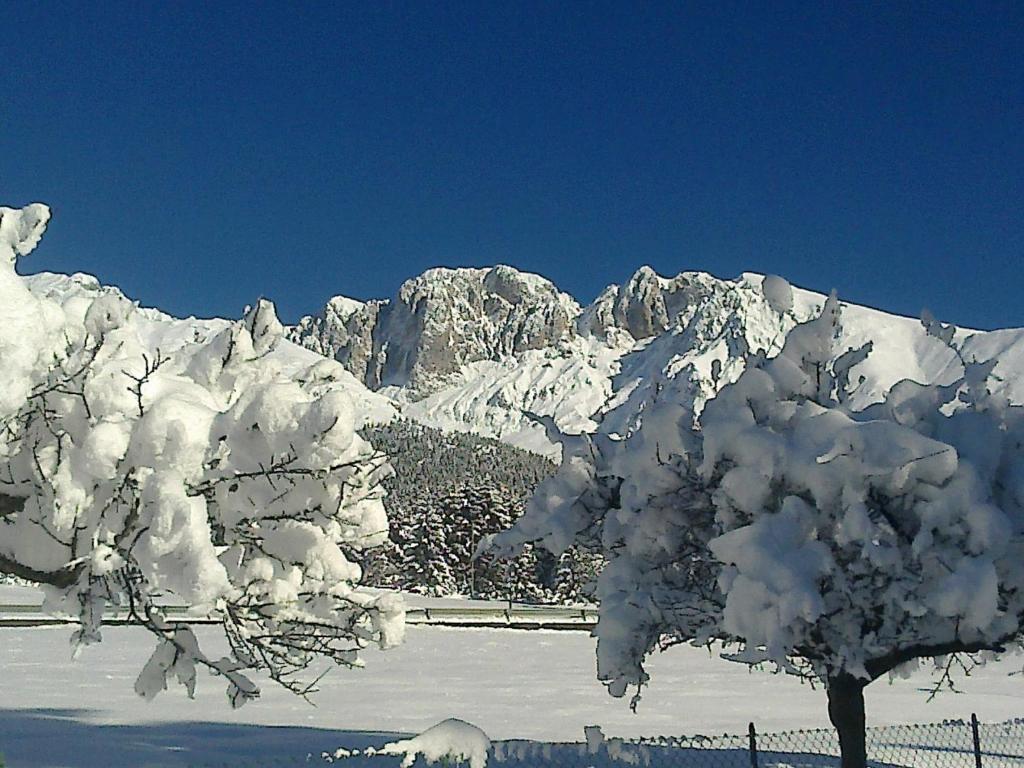 Hotel Des Alpes Castione della Presolana Dış mekan fotoğraf