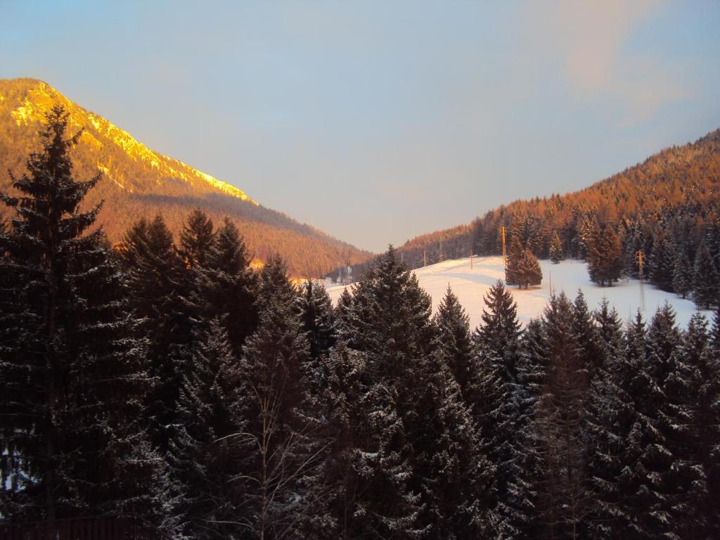 Hotel Des Alpes Castione della Presolana Oda fotoğraf