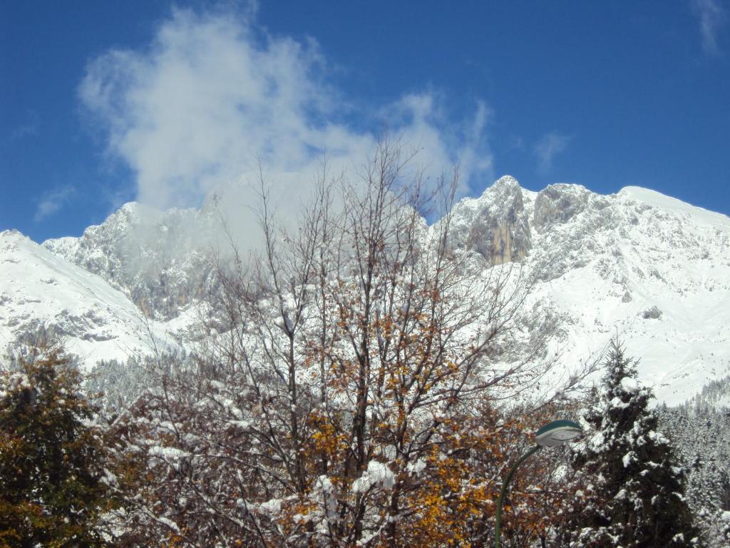 Hotel Des Alpes Castione della Presolana Oda fotoğraf