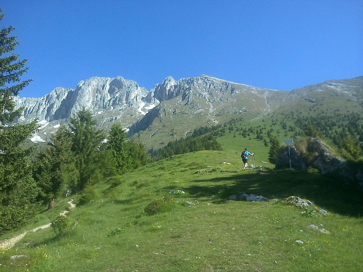 Hotel Des Alpes Castione della Presolana Dış mekan fotoğraf