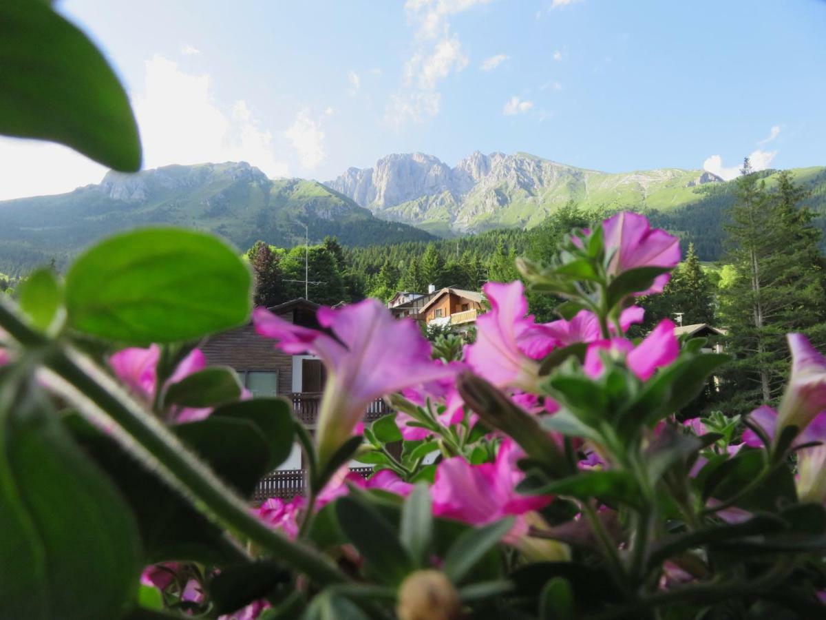 Hotel Des Alpes Castione della Presolana Dış mekan fotoğraf