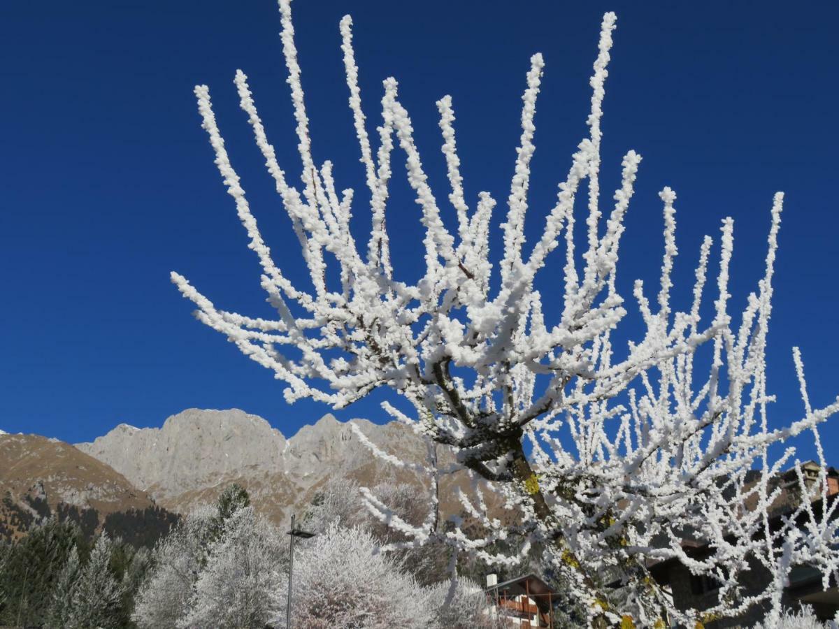 Hotel Des Alpes Castione della Presolana Dış mekan fotoğraf